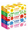 CRECIA  Scottie Flowerbox, , 5  160 . (412555)