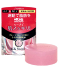 Shiseido Body Navigate -      ,   100 . (819119)